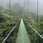 Costa Rica in der Regenzeit: Lohnt sich eine Reise?