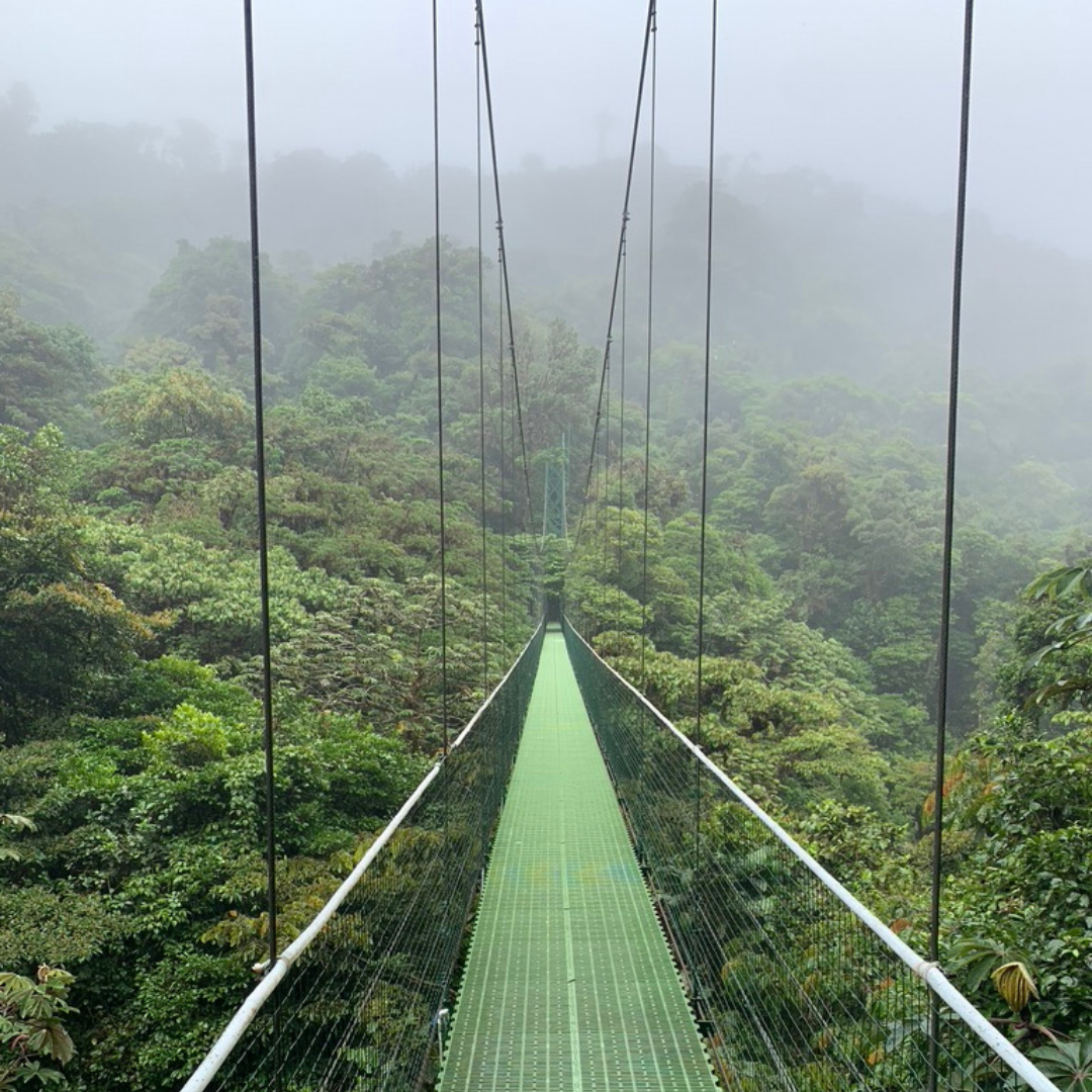 Costa Rica in der Regenzeit: Lohnt sich eine Reise?